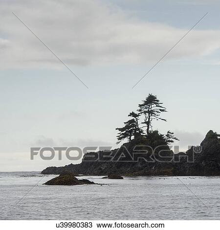 "View of coast, Skeena-Queen Charlotte Regional District, Haida Gwaii, Graham Island, British Columbia, Canada" View Large Photo Image Stock Image - "View of coast, Skeena-Queen Charlotte Regional District, Haida Gwaii, Graham Island, British Columbia, Canada". Fotosearch