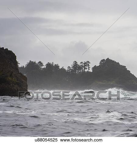 "View of coast, Skeena-Queen Charlotte Regional District, Haida Gwaii, Graham Island, British Columbia, Canada" View Large Photo Image Stock Photography - "View of coast, Skeena-Queen Charlotte Regional District, Haida Gwaii, Graham Island, British Columbia, Canada". Fotosearch