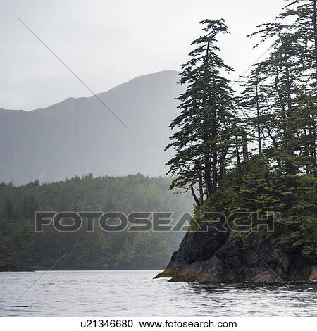 Stock Image - "View of coastline, Skeena-Queen Charlotte Regional District, Haida Gwaii, Graham Island, British Columbia, Canada". Fotosearch