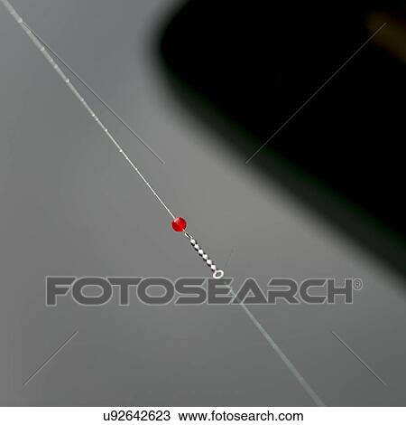 "View of fishing line, Skeena-Queen Charlotte Regional District, Haida Gwaii, Graham Island, British Columbia, Canada" View Large Photo Image Stock Image - "View of fishing line, Skeena-Queen Charlotte Regional District, Haida Gwaii, Graham Island, British Columbia, Canada". Fotosearch