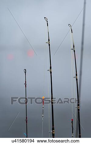 "View of fishing rods in a row, Skeena-Queen Charlotte Regional District, Haida Gwaii, Graham Island, British Columbia, Canada" View Large Photo Image Picture - "View of fishing rods in a row, Skeena-Queen Charlotte Regional District, Haida Gwaii, Graham Island, British Columbia, Canada". Fotosearch