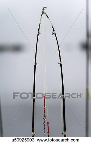 "View of fishing rods, Skeena-Queen Charlotte Regional District, Haida Gwaii, Graham Island, British Columbia, Canada" View Large Photo Image Stock Image - "View of fishing rods, Skeena-Queen Charlotte Regional District, Haida Gwaii, Graham Island, British Columbia, Canada". Fotosearch