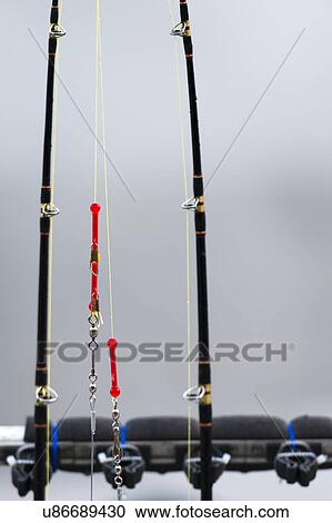 "View of fishing rods, Skeena-Queen Charlotte Regional District, Haida Gwaii, Graham Island, British Columbia, Canada" View Large Photo Image Stock Image - "View of fishing rods, Skeena-Queen Charlotte Regional District, Haida Gwaii, Graham Island, British Columbia, Canada". Fotosearch