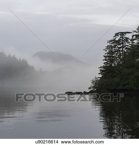 Picture - "View of foggy coast, Skeena-Queen Charlotte Regional District, Haida Gwaii, Graham Island, British Columbia, Canada". Fotosearch