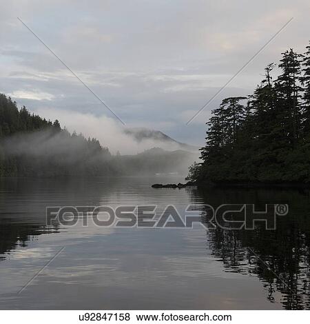 "View of foggy coast, Skeena-Queen Charlotte Regional District, Haida Gwaii, Graham Island, British Columbia, Canada" View Large Photo Image Stock Photo - "View of foggy coast, Skeena-Queen Charlotte Regional District, Haida Gwaii, Graham Island, British Columbia, Canada". Fotosearch