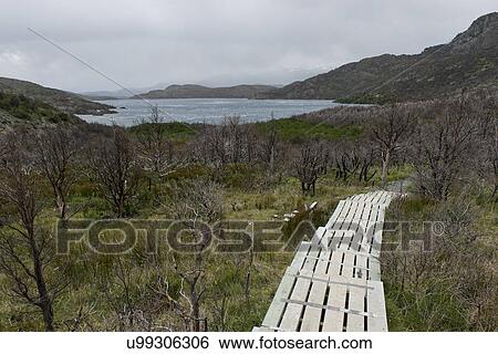 "W-Trek, Torres del Paine National Park, Patagonia, Chile" View Large Photo Image Stock Photograph - "W-Trek, Torres del Paine National Park, Patagonia, Chile". Fotosearch