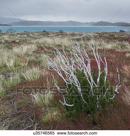 Stock Photography - "W-Trek, Torres del Paine National Park, Patagonia, Chile". Fotosearch