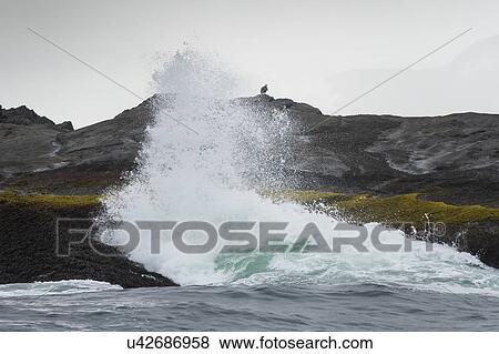 Stock Photo - "Waves breaking on the coast, Skeena-Queen Charlotte Regional District, Haida Gwaii, Graham Island, British Columbia, Canada". Fotosearch