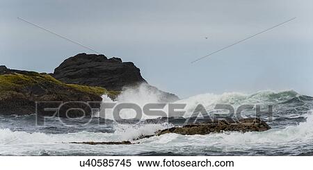Stock Photography - "Waves breaking on the coast, Skeena-Queen Charlotte Regional District, Haida Gwaii, Graham Island, British Columbia, Canada". Fotosearch