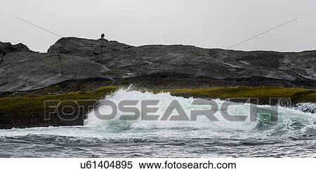 "Waves breaking on the coast, Skeena-Queen Charlotte Regional District, Haida Gwaii, Graham Island, British Columbia, Canada" View Large Photo Image Stock Photography - "Waves breaking on the coast, Skeena-Queen Charlotte Regional District, Haida Gwaii, Graham Island, British Columbia, Canada". Fotosearch