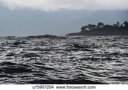 "Waves in the Pacific Ocean, Skeena-Queen Charlotte Regional District, Haida Gwaii, Graham Island, British Columbia, Canada" View Large Photo Image Picture - "Waves in the Pacific Ocean, Skeena-Queen Charlotte Regional District, Haida Gwaii, Graham Island, British Columbia, Canada". Fotosearch