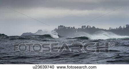 "Waves in the Pacific Ocean, Skeena-Queen Charlotte Regional District, Haida Gwaii, Graham Island, British Columbia, Canada" View Large Photo Image Stock Image - "Waves in the Pacific Ocean, Skeena-Queen Charlotte Regional District, Haida Gwaii, Graham Island, British Columbia, Canada". Fotosearch