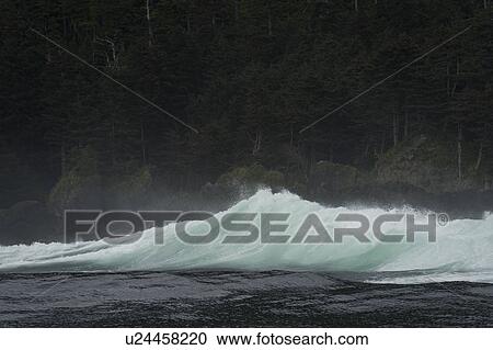 "Waves in the Pacific Ocean, Skeena-Queen Charlotte Regional District, Haida Gwaii, Graham Island, British Columbia, Canada" View Large Photo Image Stock Image - "Waves in the Pacific Ocean, Skeena-Queen Charlotte Regional District, Haida Gwaii, Graham Island, British Columbia, Canada". Fotosearch