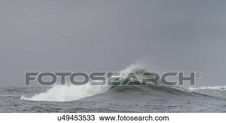 "Waves in the Pacific Ocean, Skeena-Queen Charlotte Regional District, Haida Gwaii, Graham Island, British Columbia, Canada" View Large Photo Image Stock Image - "Waves in the Pacific Ocean, Skeena-Queen Charlotte Regional District, Haida Gwaii, Graham Island, British Columbia, Canada". Fotosearch