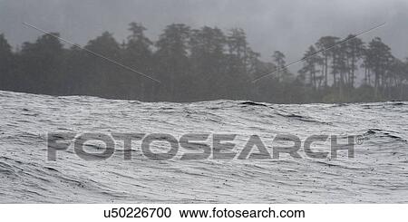 "Waves in the Pacific Ocean, Skeena-Queen Charlotte Regional District, Haida Gwaii, Graham Island, British Columbia, Canada" View Large Photo Image Stock Image - "Waves in the Pacific Ocean, Skeena-Queen Charlotte Regional District, Haida Gwaii, Graham Island, British Columbia, Canada". Fotosearch