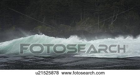 "Waves in the Pacific Ocean, Skeena-Queen Charlotte Regional District, Haida Gwaii, Graham Island, British Columbia, Canada" View Large Photo Image Stock Photo - "Waves in the Pacific Ocean, Skeena-Queen Charlotte Regional District, Haida Gwaii, Graham Island, British Columbia, Canada". Fotosearch