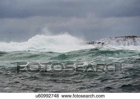 "Waves in the Pacific Ocean, Skeena-Queen Charlotte Regional District, Haida Gwaii, Graham Island, British Columbia, Canada" View Large Photo Image Stock Photo - "Waves in the Pacific Ocean, Skeena-Queen Charlotte Regional District, Haida Gwaii, Graham Island, British Columbia, Canada". Fotosearch