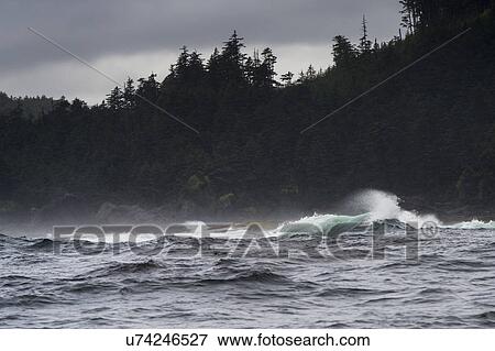 "Waves in the Pacific Ocean, Skeena-Queen Charlotte Regional District, Haida Gwaii, Graham Island, British Columbia, Canada" View Large Photo Image Stock Photo - "Waves in the Pacific Ocean, Skeena-Queen Charlotte Regional District, Haida Gwaii, Graham Island, British Columbia, Canada". Fotosearch