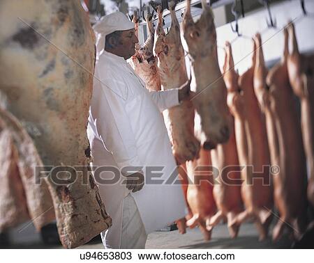 Butcher inspecting meat in freezer View Large Photo Image Stock Image - Butcher inspecting meat in freezer. Fotosearch