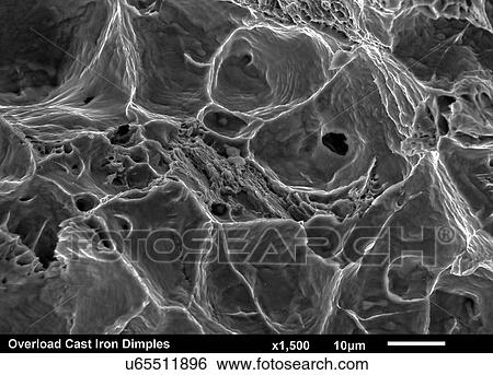 Stock Photograph - Cast Iron fractured surface. Dimple overload with inclusions imaged in a scanning electron microscope. Fotosearch
