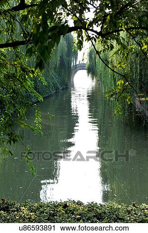 Stock Image - "Chinese style stone bridge on river, covered by green trees, Hangzhou, China". Fotosearch