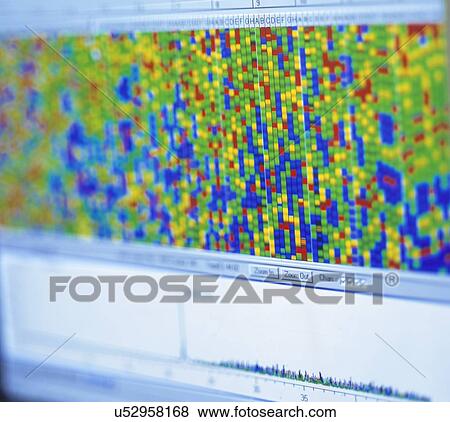 Stock Photo - Close up of genetic map on computer screen in laboratory. Fotosearch