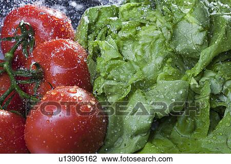 Stock Image - Close up of lettuce and vine tomatoes being washed. Fotosearch
