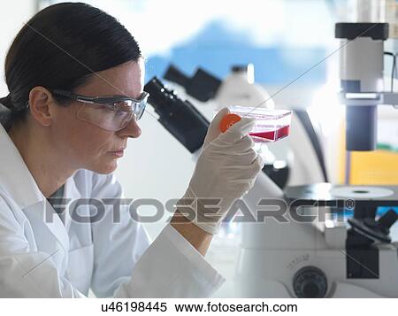 Stock Photography - "Female cell biologist holding flask containing stem cells, cultivated in red growth medium". Fotosearch