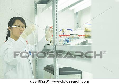 Stock Image - Female scientist looking at test tube plant samples in lab. Fotosearch