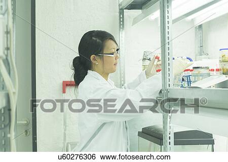 Stock Photograph - Female scientist looking at test tube plant sample in lab. Fotosearch