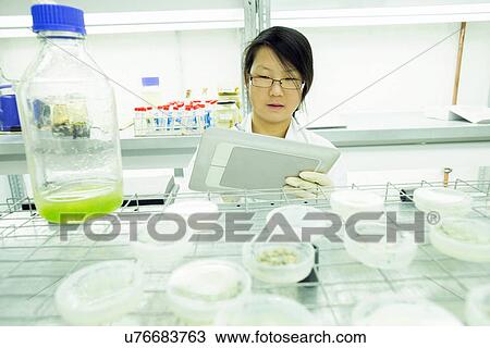 Stock Image - Female scientist using digital tablet in plant sample lab. Fotosearch