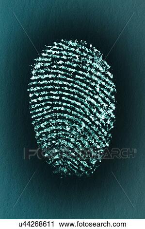 Stock Image - Fingerprint of a male's index finger. Fotosearch