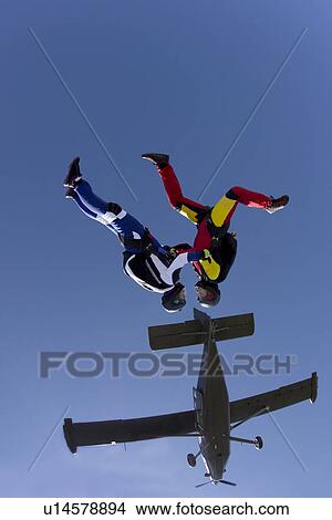 Freeflying skydivers in blue sky View Large Photo Image Picture - Freeflying skydivers in blue sky. Fotosearch