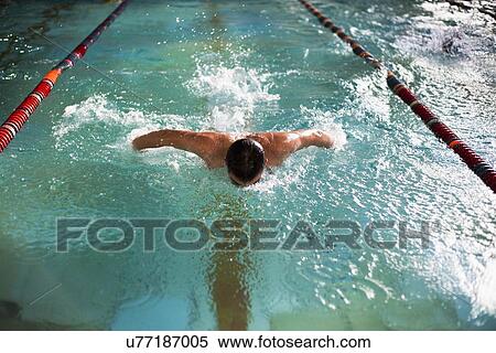 Stock Photography - Male swimmer doing butterfly stroke in swimming pool. Fotosearch