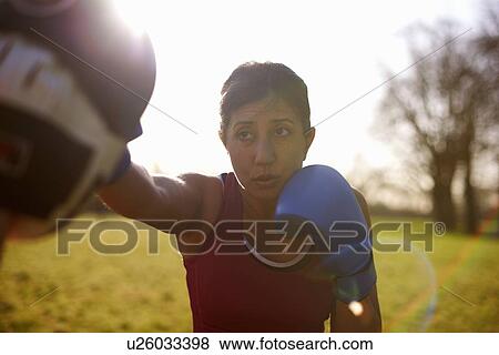 Mature female boxer training in field View Large Photo Image Stock Photo - Mature female boxer training in field. Fotosearch