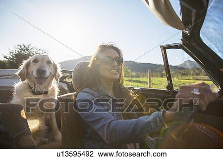"Mature woman and dog, in convertible car" View Large Photo Image Stock Image - "Mature woman and dog, in convertible car". Fotosearch