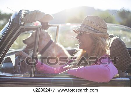Stock Photo - "Mature woman and dog, in convertible car". Fotosearch