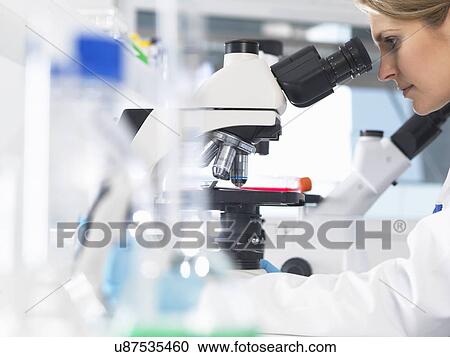 Stock Image - Medical scientist viewing sample slide under a microscope in a laboratory. Fotosearch