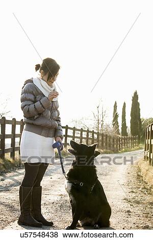 Mid adult woman obedience training her dog on rural road View Large Photo Image Stock Photo - Mid adult woman obedience training her dog on rural road. Fotosearch