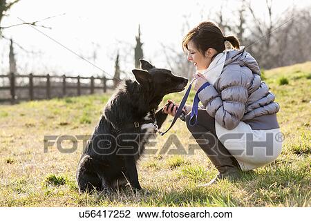 Mid adult woman training her dog to hold up paw in field View Large Photo Image Stock Image - Mid adult woman training her dog to hold up paw in field. Fotosearch