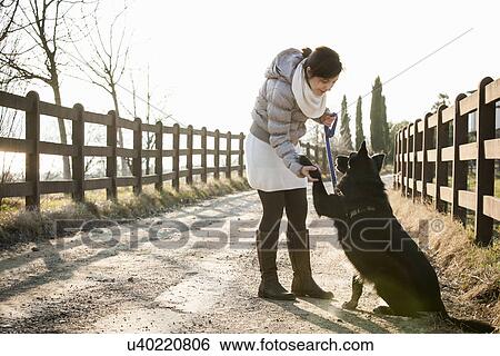 Stock Photograph - Mid adult woman training her dog to hold up paw on rural road. Fotosearch