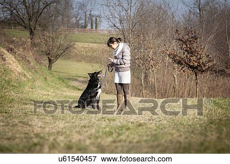 Mid adult woman walking with her dog in field View Large Photo Image Stock Photo - Mid adult woman walking with her dog in field. Fotosearch
