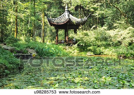 "Pavilion by lotus pool, surrounded by trees, Hangzhou, China" View Large Photo Image Stock Image - "Pavilion by lotus pool, surrounded by trees, Hangzhou, China". Fotosearch
