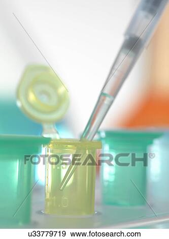 Stock Photo - Pipette adding sample to eppendorf tube in a laboratory. Fotosearch