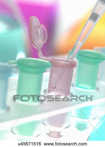 Stock Photograph - Pipette adding sample to eppendorf tube in a laboratory. Fotosearch