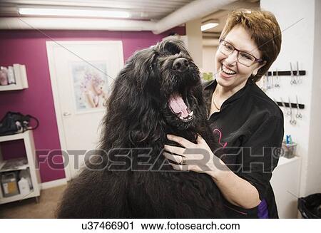 Stock Image - Portrait of dog and groomer in dog grooming salon. Fotosearch