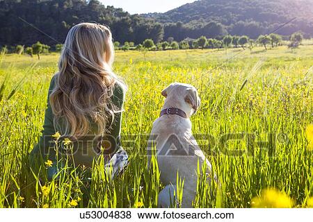 Rear view of mature woman and labrador retriever sitting in sunlit wildflower meadow View Large Photo Image Stock Photo - Rear view of mature woman and labrador retriever sitting in sunlit wildflower meadow. Fotosearch