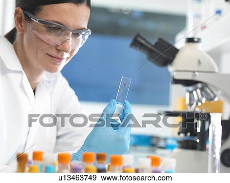 Scientist holding microscope slide with blood sample in lab View Large Photo Image Stock Photo - Scientist holding microscope slide with blood sample in lab. Fotosearch