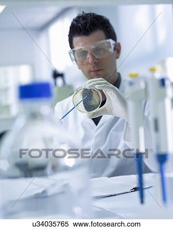 Scientist making culture in laboratory View Large Photo Image Stock Photography - Scientist making culture in laboratory. Fotosearch