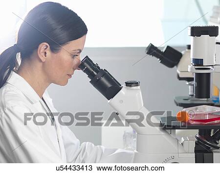 Stock Image - Scientist viewing cultures under inverted microscope for medical and pharmaceutical research. Fotosearch